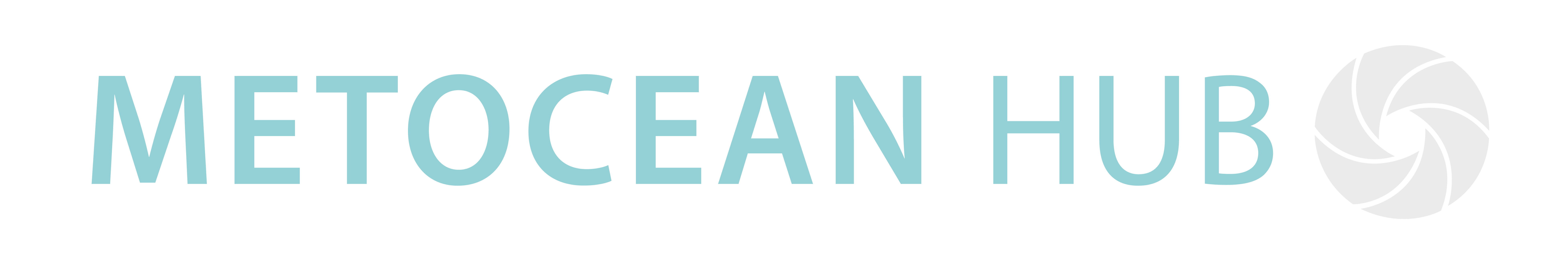 Metocean Hub Logo